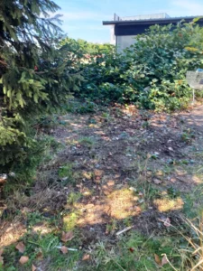 Débarras jardin après